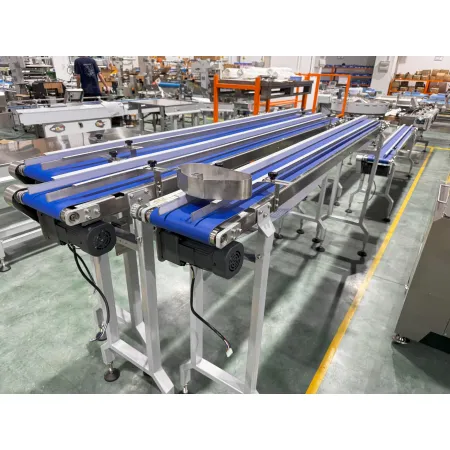 Przenosnik taśmowy płaski TT-2000-2