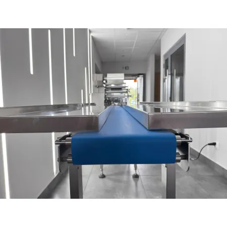 Maszyna pakująca flow pack DFG-60E (Box Motion)