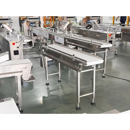 Przenosnik taśmowy płaski TT-2000-1